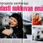 Hymy n:o 3 2013 Kimi Petti Jenniä. Frederikin asunto tuhottu - pikkukuva 5