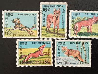 Kambutchea Koiraeläimiä