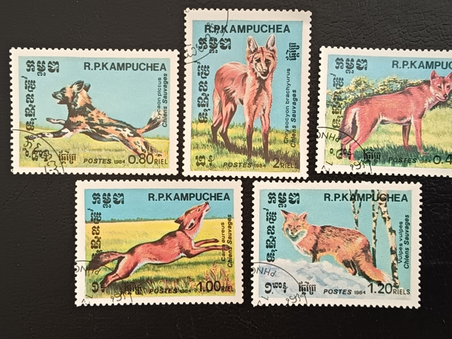 Kambutchea Koiraeläimiä