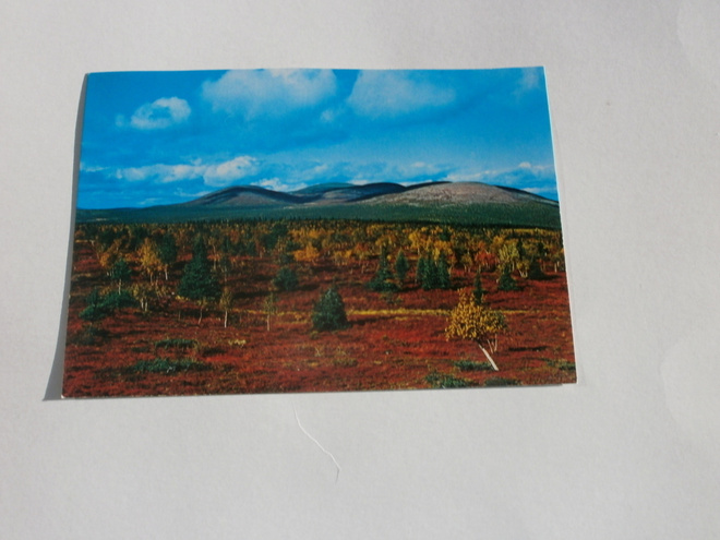 Lappi - Suomen Lappi, syksyn väriloistoa, ei kulk.