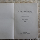 Herman Hesse: Peter Camenzind 1908 - pikkukuva 3