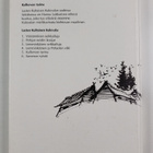 Aili (toim.) Konttinen : Lasten kultainen Kalevala 5 : Ku... - pikkukuva 2