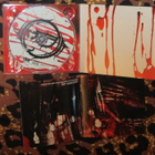 CD - DEATHBOUND - To Cure The Sane With Insanity 2006 MINT- - pikkukuva 2