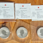 Kanada Maple Leaf 3x Unssi hopeaa, Kiinalainen horoskooppi - pikkukuva 2