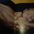 Anne Geddes - Tähän saakka - 1.painos - pikkukuva 3