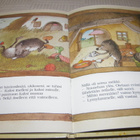 Janosch Jäniksen ja siilin kilpajuoksu - pikkukuva 4