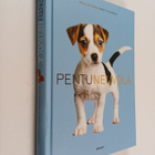 Pertti Vilander ym. : Pentuneuvola - pikkukuva 1
