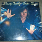 LP Shaun Cassidy: Under wraps - pikkukuva 1