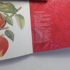 THE ROLLING STONES :: UNDERCOVER :: CD  ALBUM  UUSI   1986 ! - pikkukuva 4