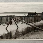 Posio - pikkukuva 1