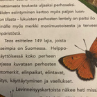 AMIRAALI JA NEITOPERHO Suomen ja Pohjolan perhosia - pikkukuva 2