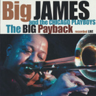 Big James & The Chicago Playboys: The Big Payback Live - pikkukuva 1