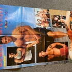 Beach Calender 2001 juliste - pikkukuva 2