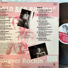 Wild Bob Burgos LP - pikkukuva 2