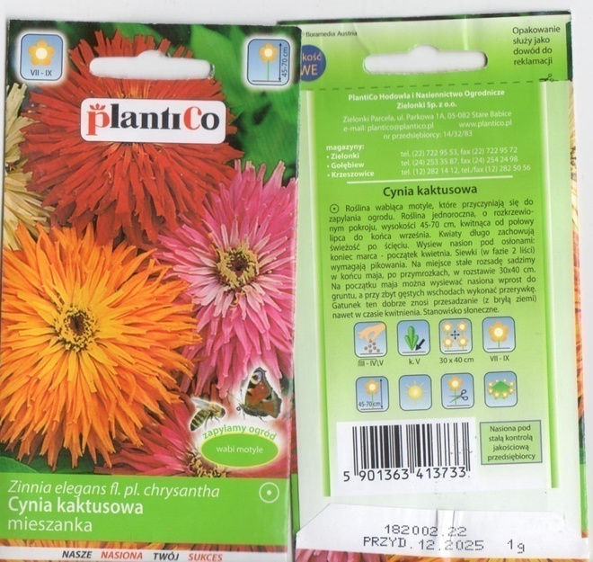 Tsinnia "Kaktus" HUOM PÄiVÄYS! Ale -30%#