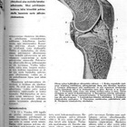 Terveys n:o 12 1962 Joulunumero. Miksi vanhenemme. - pikkukuva 5