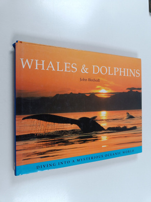 John Birdsall : Whales & dolphins : Whales and dolphins