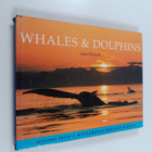 John Birdsall : Whales & dolphins : Whales and dolphins - pikkukuva 1