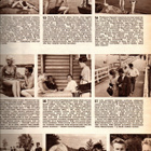 Seura n:o 36 1963 Missit haluaa kotirouviksi. Koltit. - pikkukuva 2