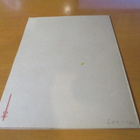 Wendelin  Hy 910 R tk np - pikkukuva 2