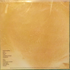 JIMI TENOR AND HIS SHAMANS - DIKTAFON - FIN 89 M-/EX+ LP - pikkukuva 2