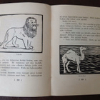 Veikon ja Siskon AAPISKIRJA - pikkukuva 4