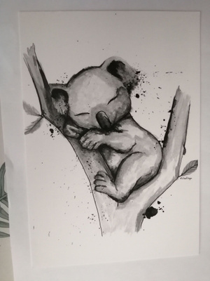Koala