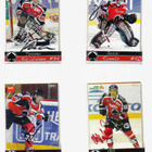 2008-09 Porin Ässät Team Set Nimmarit /25 - pikkukuva 1