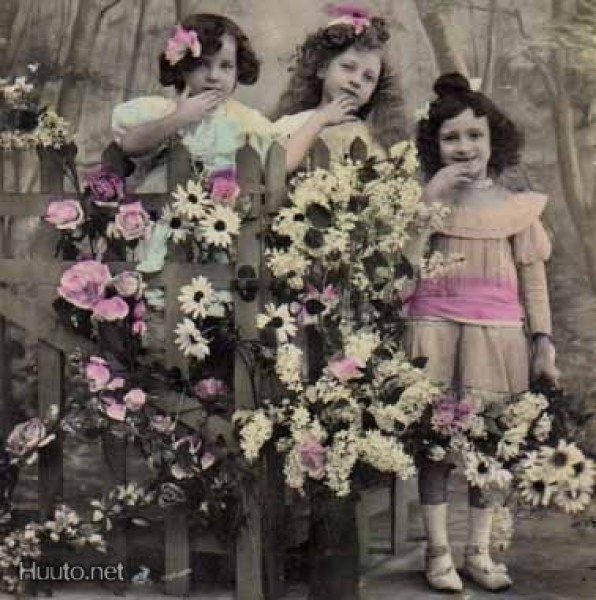 LAPSI / Kolme suloista tyttöä, aita ja kukkia. 1900-l.