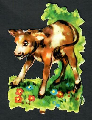 EAS 3151 - Suloinen vasikka