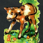 EAS 3151 - Suloinen vasikka - pikkukuva 1