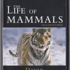Nisäkkäiden maailma / The life of mammals (4DVD) [yli 8h.] - pikkukuva 1