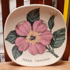 Arabia, Esteri Tomula, Rosa, Rosa canina, Koiranruusu - pikkukuva 2