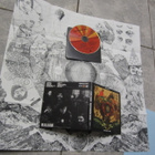 Fleet Foxes – Helplessness Blues ( cd v 201 +liit +JULISTE - pikkukuva 1