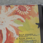 Tuula amberla - pikkukuva 2