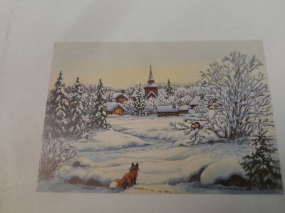 Pitkäranta: Kettu metsän reunassa