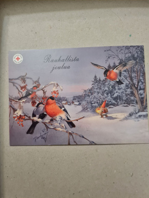 Partanen Punatulkut taustalla joulupukki