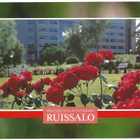 Turku Ruissalo - pikkukuva 1