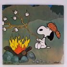 Charles M. Schulz : Kesä on mennyt, Jaska Jokunen - pikkukuva 2
