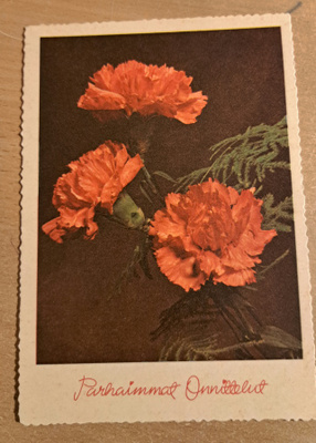 kukkakortti,3 neilikkaa, kulkenut käsipostissa 1961