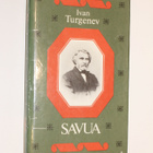 Ivan Turgenev: Savua - pikkukuva 1