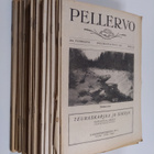 Pellervo vuosikerta 1931 n:ot 1-40 (39 lehteä) - pikkukuva 1
