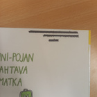 Sanna Pelliccioni: Onni-Pojan mahtava matka - pikkukuva 3