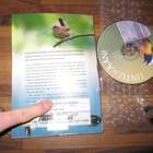 Lintu ja ääni (+CD) : kotoiset lintumme solisteina - pikkukuva 2