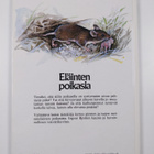 Kurt Lofterud : Eläinten poikasia - pikkukuva 2