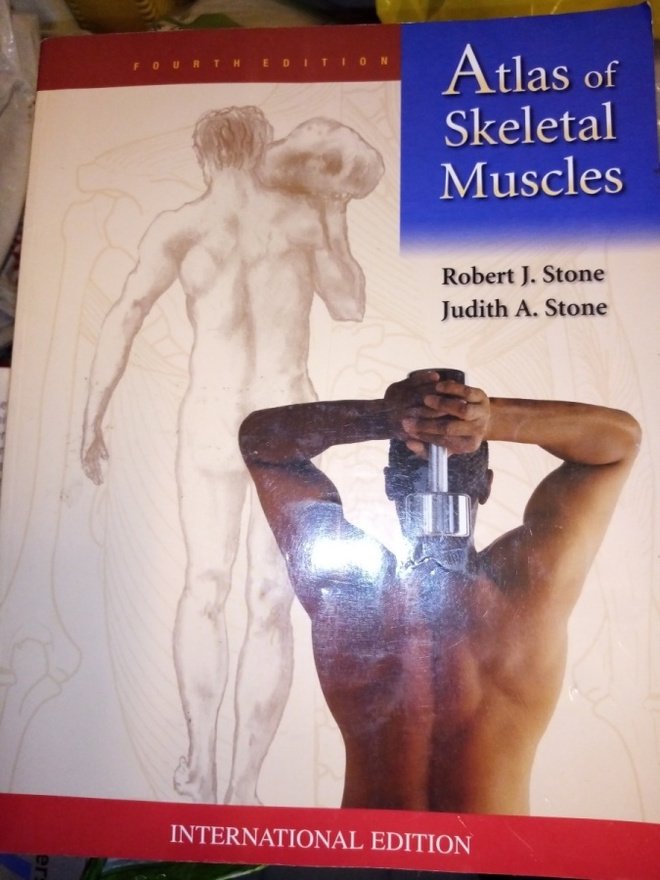 Stone :  Atlas of skeletal muscles