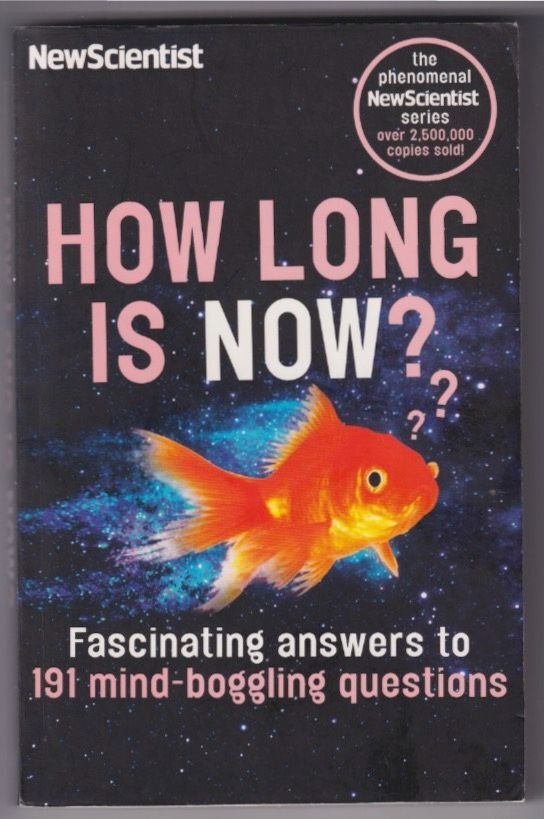 Frank Swain: How long is now ?