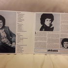 Leo Sayer The Best Of 2LP 1980 Made in England - pikkukuva 2