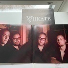 VIIKATE / MARRASKUUN LAULUJA 2LP - pikkukuva 4