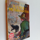 Zane Grey : Nuori metsänvartija - pikkukuva 1